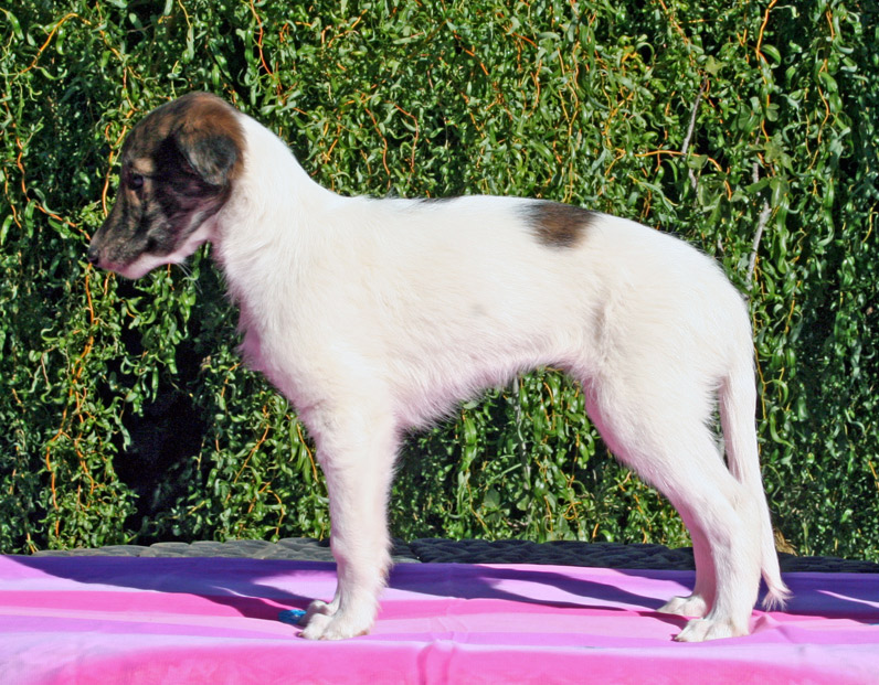 Surf Spots - Girl 1 Left